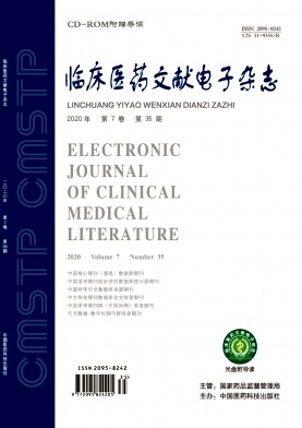 《临床医药文献电子》杂志