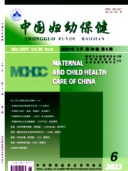 中国妇幼保健