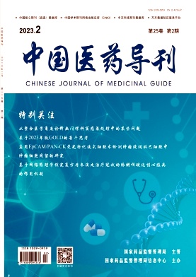 中国医药导刊
