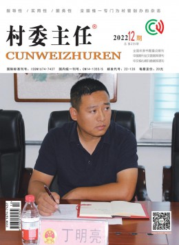 《村委主任》